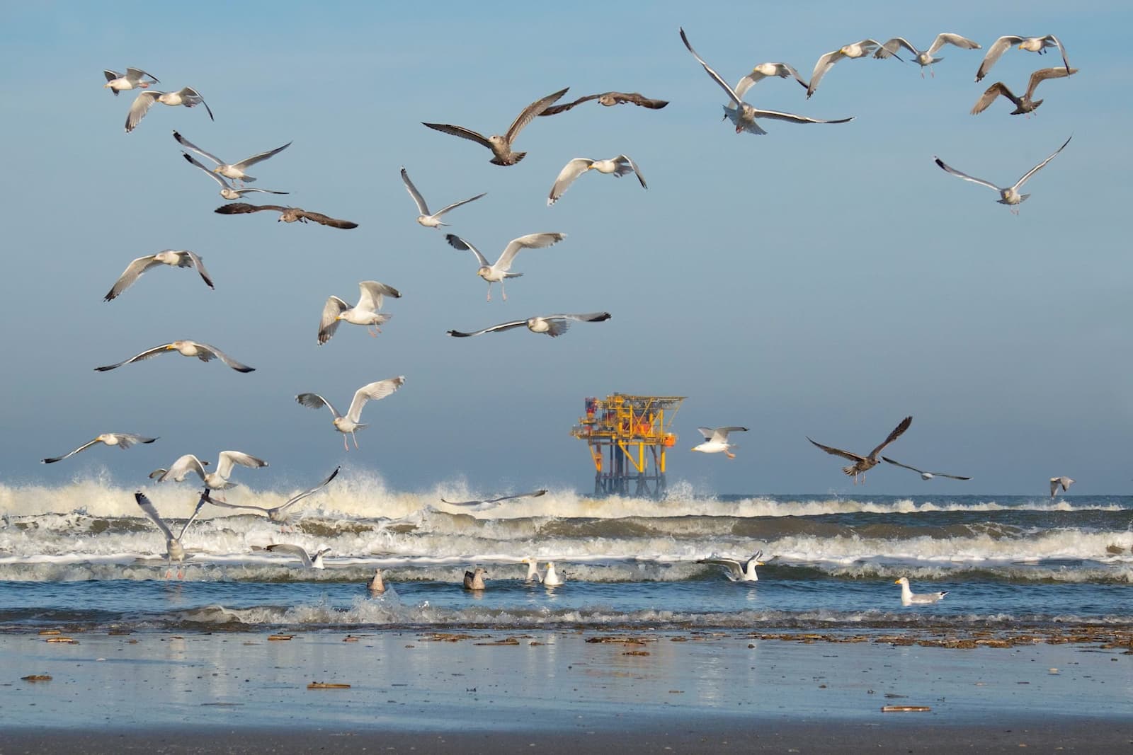 An offshore natural gas production platform near the Dutch island of Ameland. Activists and researchers say countries’ recently submitted climate plans lack concrete ocean-based goals such as halting new offshore extractions (Image: Matthijs Wetterauw / Alamy)